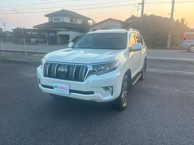 2019 Toyota LAND CRUISER PRADO 照片 4