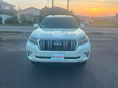 2019 Toyota LAND CRUISER PRADO 照片 3