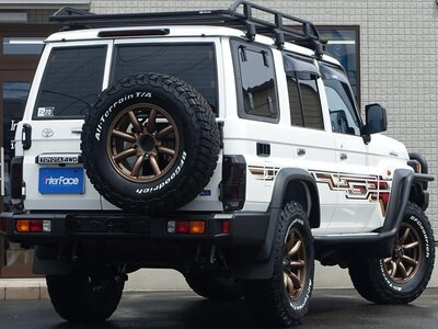 2024 Toyota LAND CRUISER 70 — фото 13