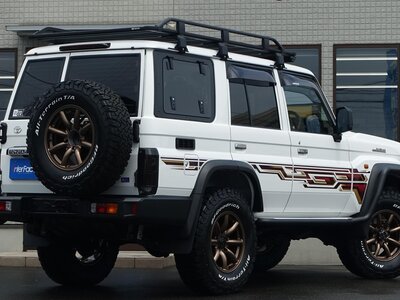 2024 Toyota LAND CRUISER 70 — фото 14