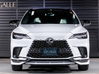 2025 Lexus RX 照片 31