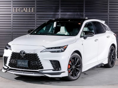 2025 Lexus RX 照片 30