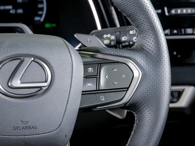 2025 Lexus RX 照片 54