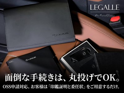 2025 Lexus RX 照片 78
