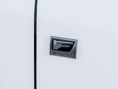 2025 Lexus RX 照片 71