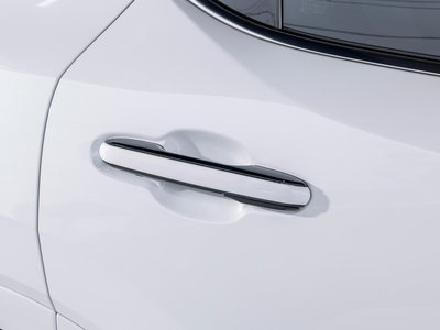 2025 Lexus RX 照片 45