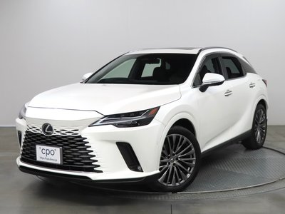 2023 Lexus RX photo 1