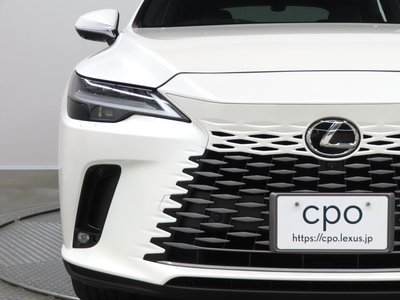 2023 Lexus RX photo 8