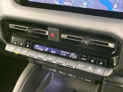 2025 Toyota LAND CRUISER 250 照片 53