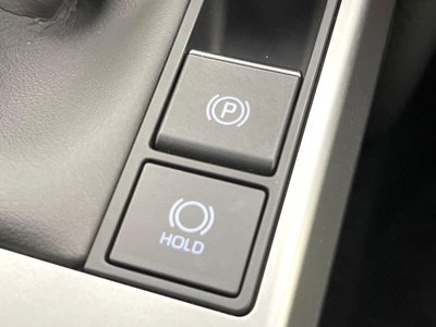 2025 Toyota LAND CRUISER 250 照片 46