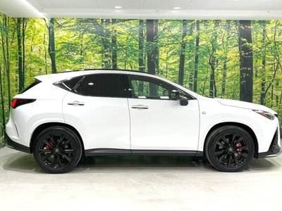 صورة مصغرة 64 لـ 2023 Lexus NX