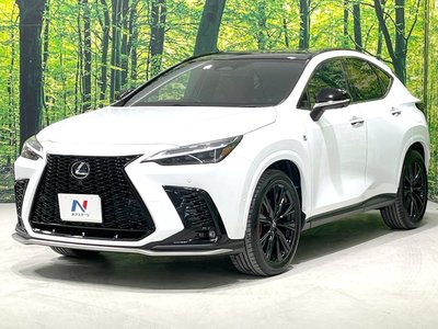 صورة مصغرة 16 لـ 2023 Lexus NX