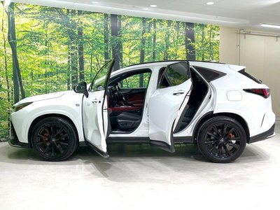 صورة مصغرة 67 لـ 2023 Lexus NX