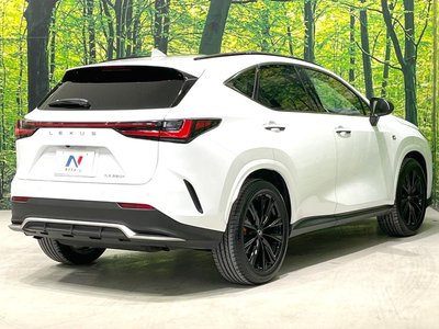 صورة مصغرة 63 لـ 2023 Lexus NX