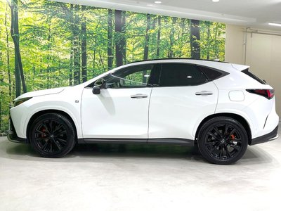 صورة مصغرة 66 لـ 2023 Lexus NX