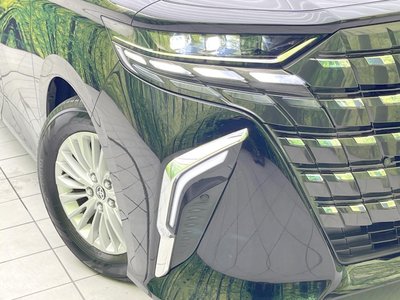 2025 Toyota ALPHARD — фото 13