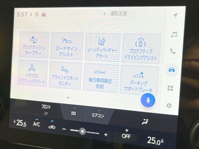 2025 Toyota ALPHARD — фото 38