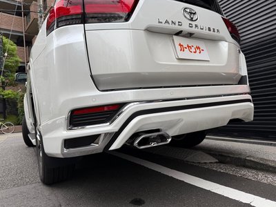 2025 Toyota LAND CRUISER 300 photo 6