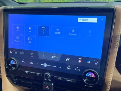 2025 Toyota VELLFIRE 照片 40