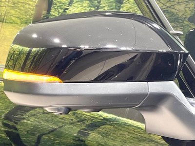 2025 Toyota VELLFIRE 照片 32