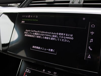 2022 AUDI E-TRON 缩略图 49