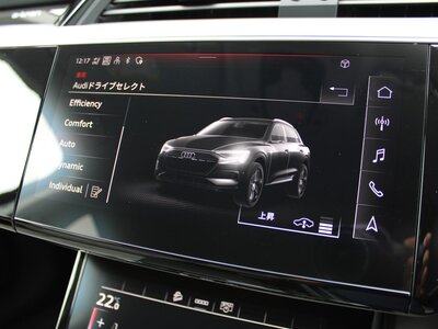 2022 AUDI E-TRON 缩略图 51