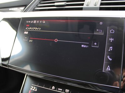 2022 AUDI E-TRON 缩略图 53