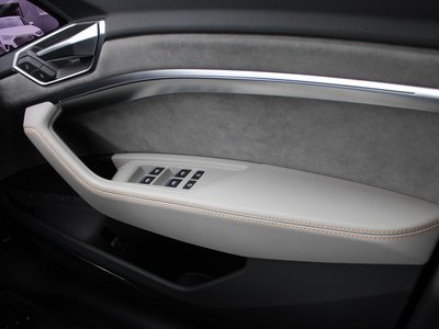 2022 AUDI E-TRON 缩略图 44