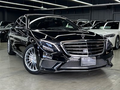 2015 Mercedes-BENZ S-CLASS AMG 缩略图 19