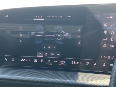 2025 AUDI SQ5 thumbnail 47