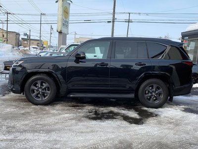 2025 Lexus LX — фото 13