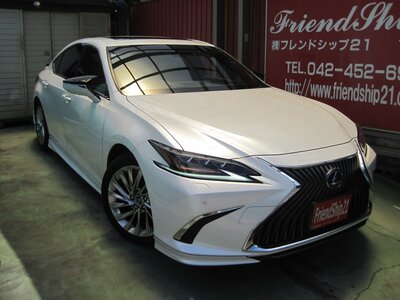 2018 Lexus ES photo 3