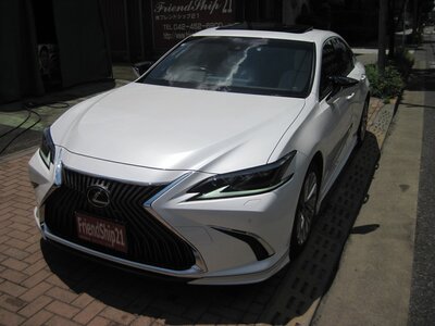 2018 Lexus ES photo 6