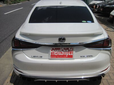 2018 Lexus ES photo 12