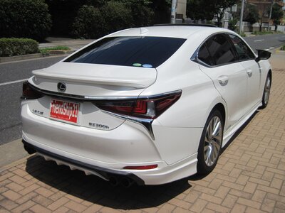 2018 Lexus ES thumbnail 21