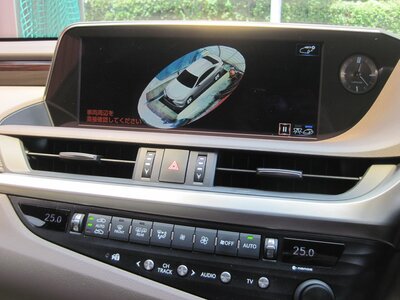 2018 Lexus ES thumbnail 31