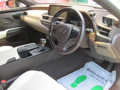 2018 Lexus ES thumbnail 24