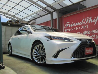 2018 Lexus ES photo 1