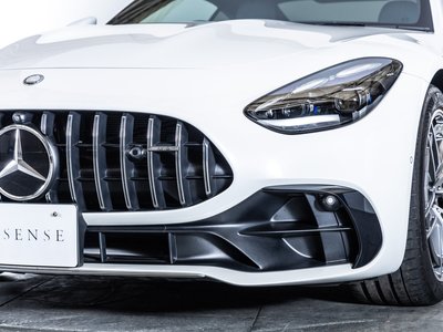 2025 Mercedes-BENZ GT AMG thumbnail 17