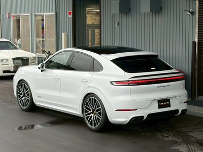 2025 Porsche CAYENNE photo 21