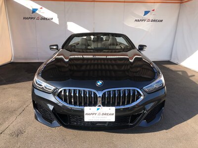 2022 BMW 8 SERIES CABRIOLET thumbnail 17