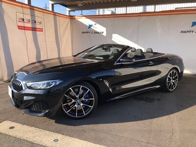 2022 BMW 8 SERIES CABRIOLET thumbnail 18