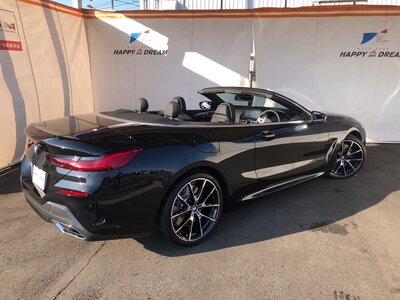 2022 BMW 8 SERIES CABRIOLET thumbnail 19