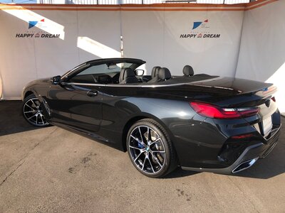 2022 BMW 8 SERIES CABRIOLET thumbnail 21