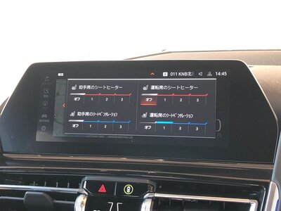 2022 BMW 8 SERIES CABRIOLET thumbnail 51