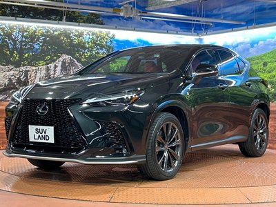 2023 Lexus NX thumbnail 65