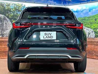 2023 Lexus NX photo 15