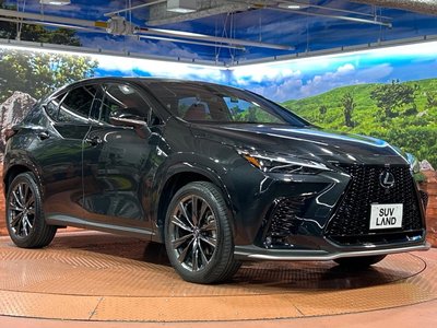 2023 Lexus NX photo 16