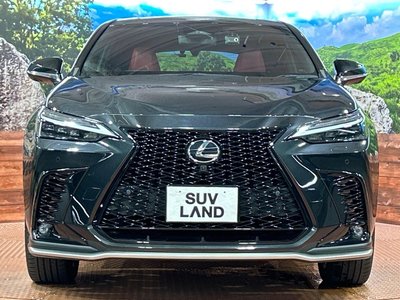 2023 Lexus NX photo 14