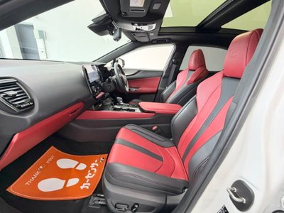 2025 Lexus NX 缩略图 49